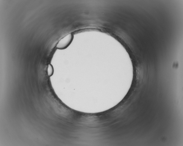 X0000112841260200910021059