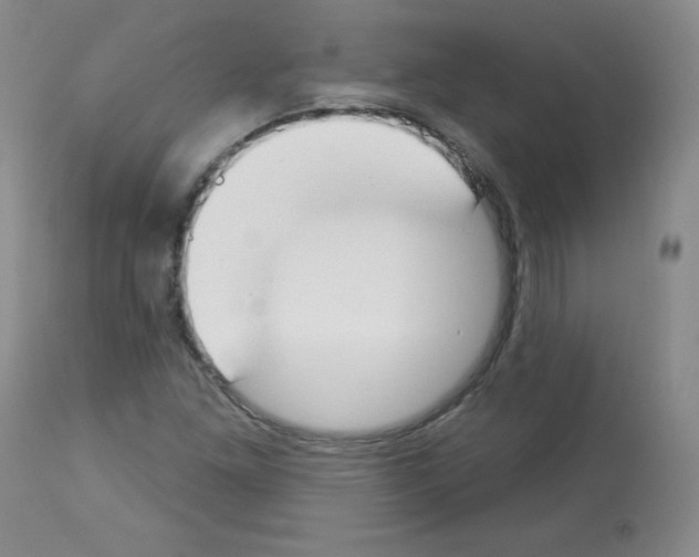 X0000112841261200910021059