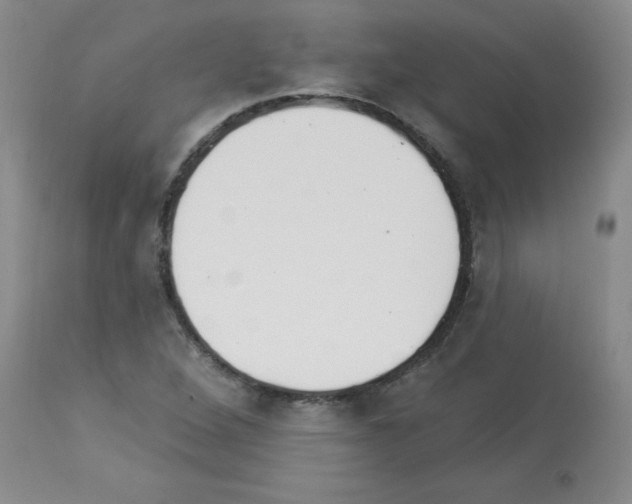 X0000112841264200910021059