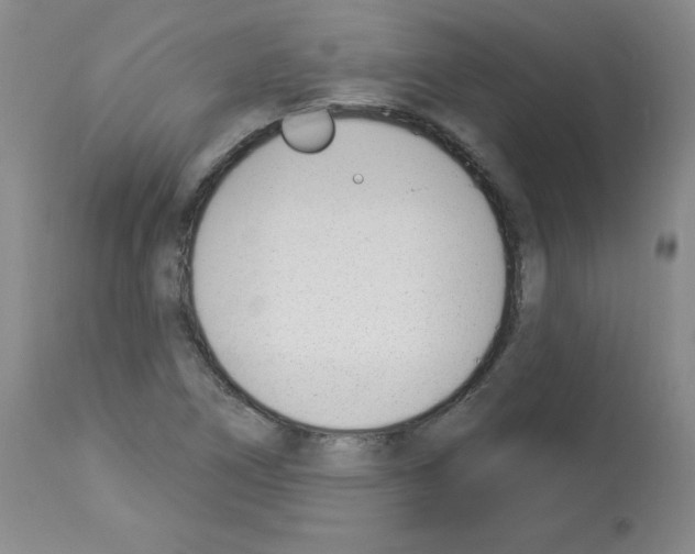 X0000112841266200910021059