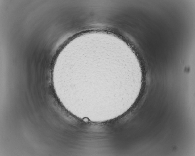 X0000112841267200910021059