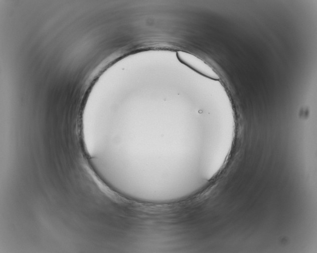 X0000112841285200910021058