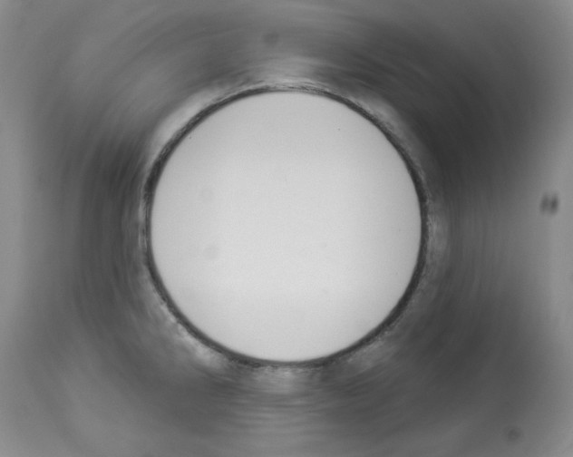 X0000112841286200910021058