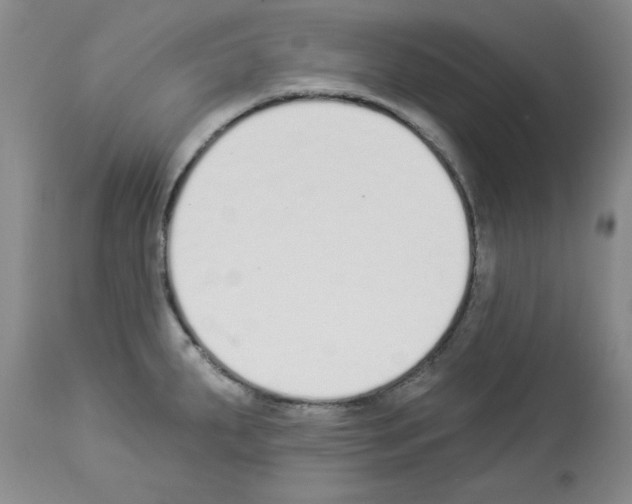 X0000112841287200910021058