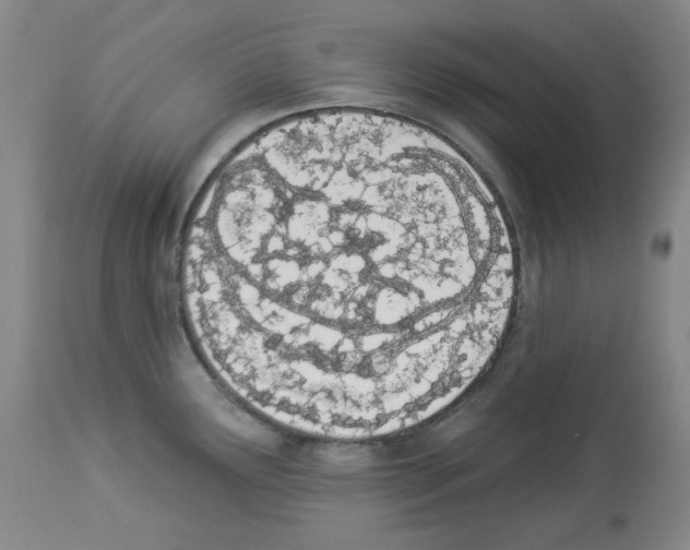 X0000112841291200910021058