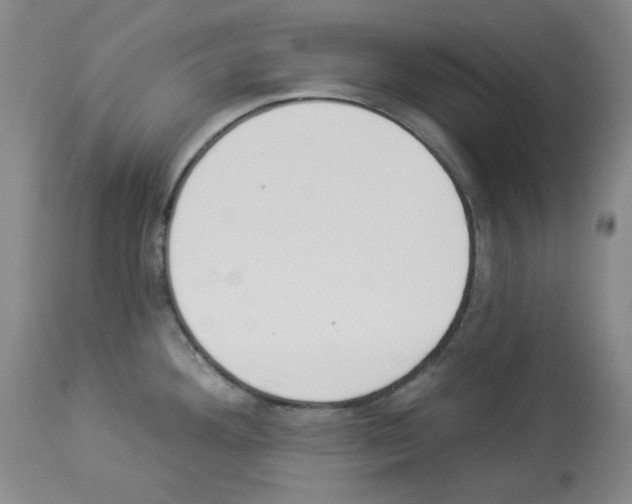 X0000112841292200910021058