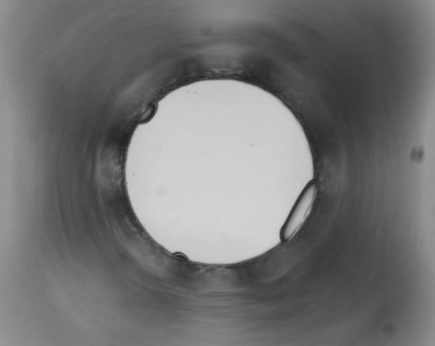 X0000112841298200910021057