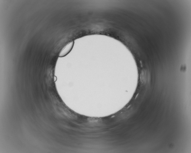 X0000112841299200910021057