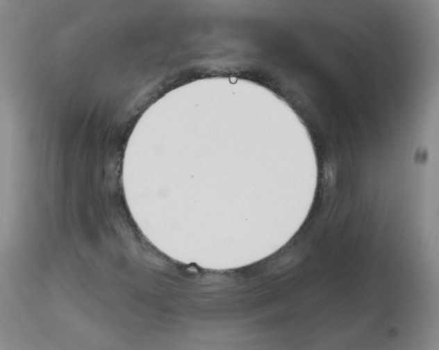 X0000112841300200910021057