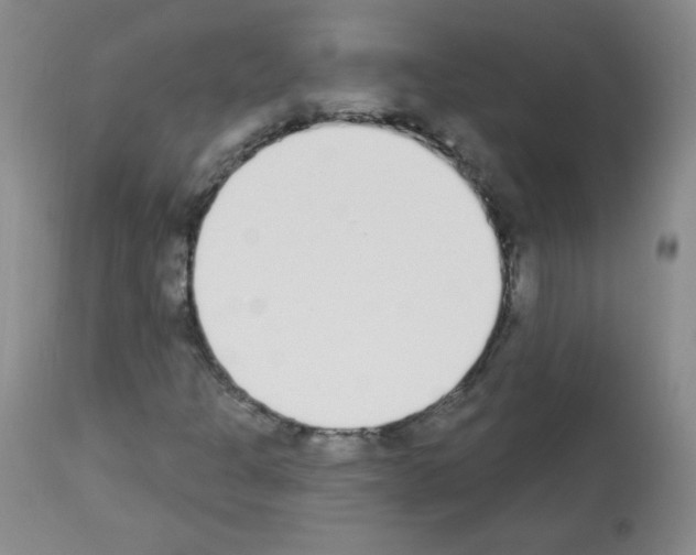 X0000112841301200910021057