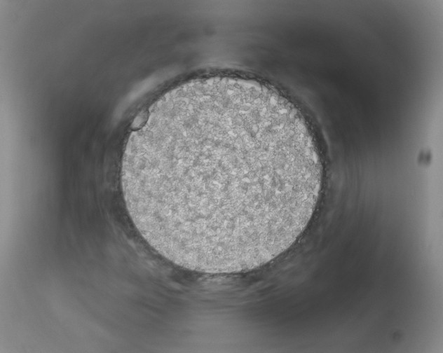 X0000112841303200910021058