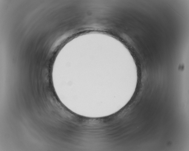 X0000112841307200910021058