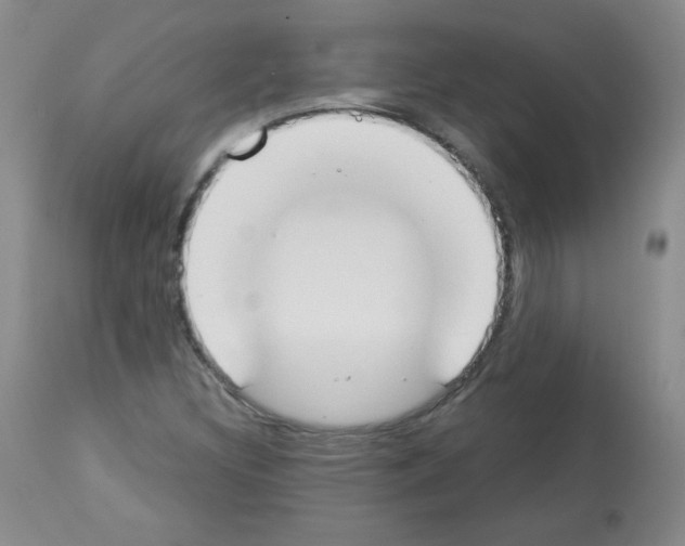 X0000112841308200910021058