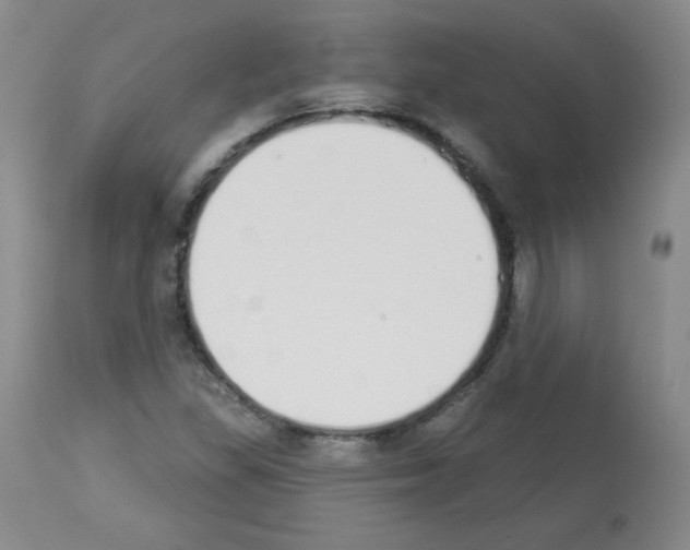 X0000112841309200910021058