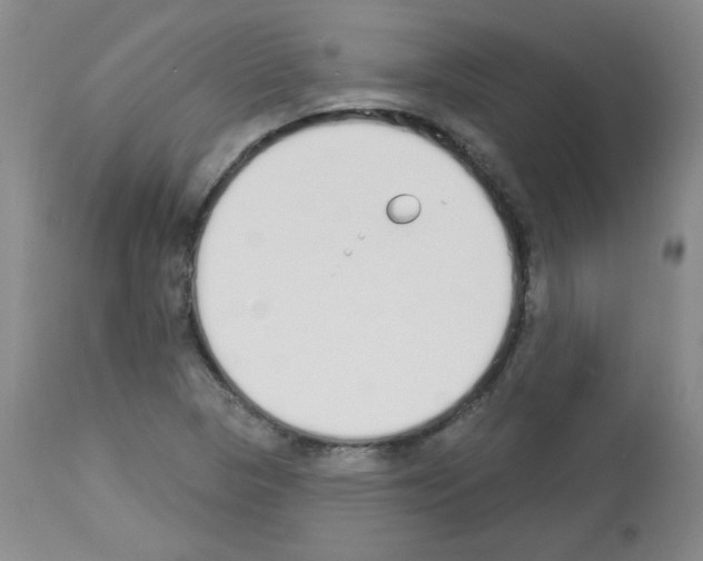 X0000112841313200910021058