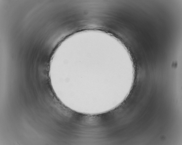 X0000112841314200910021058