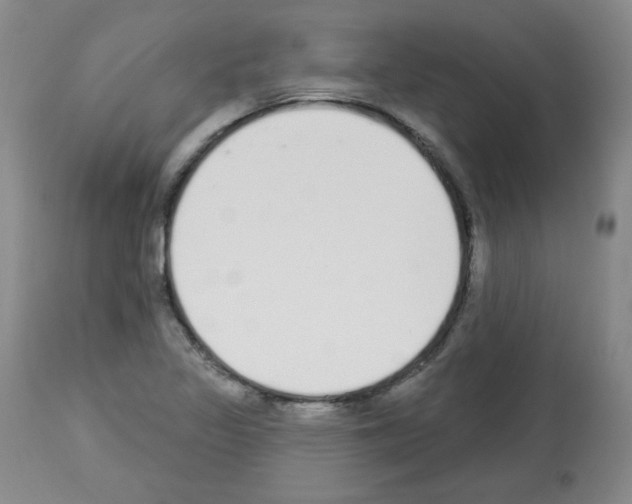 X0000112841317200910021058