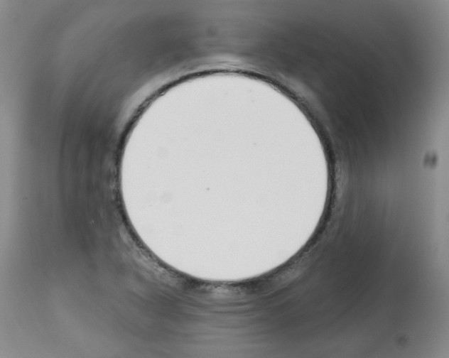 X0000112841318200910021058