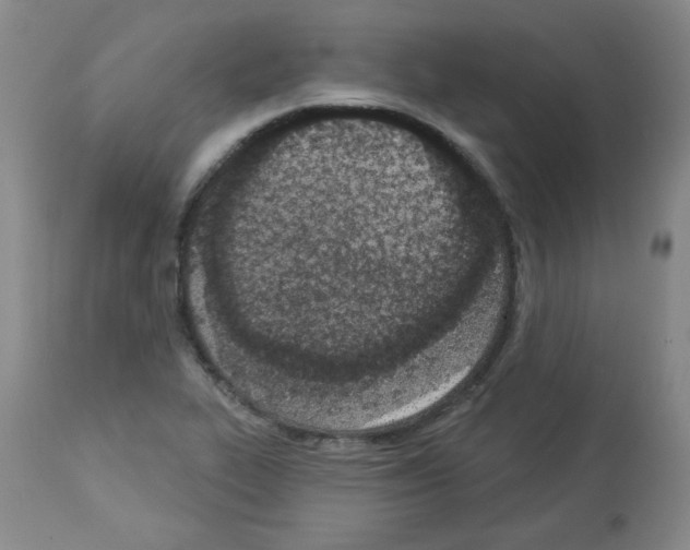 X0000112841319200910021058