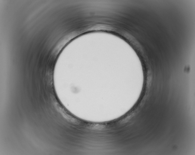 X0000112841321200910021058