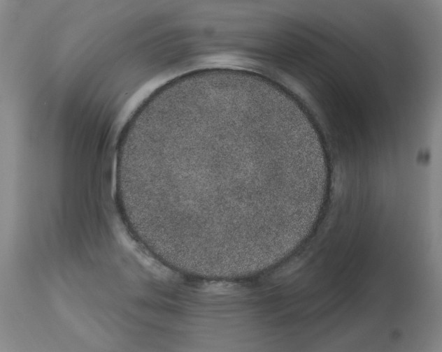 X0000112841323200910021058