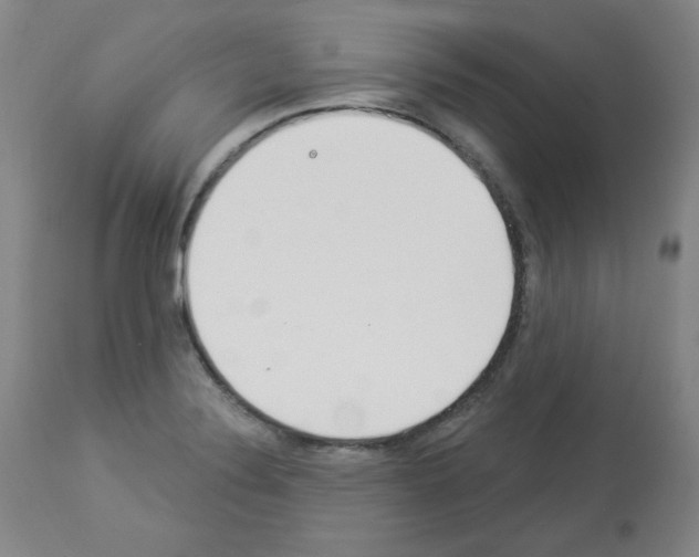 X0000112841324200910021058