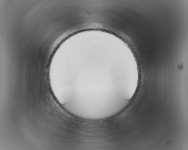 X0000112841326200910021058