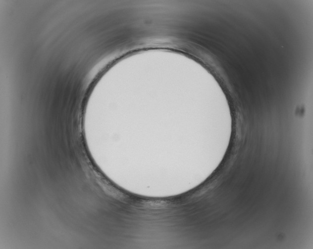 X0000112841328200910021058