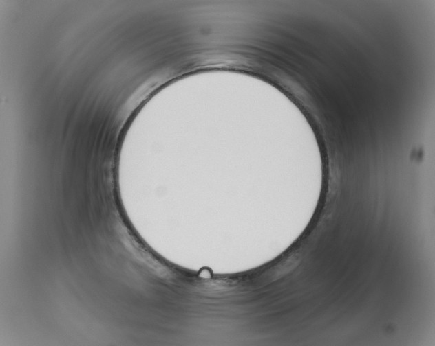 X0000112841330200910021058