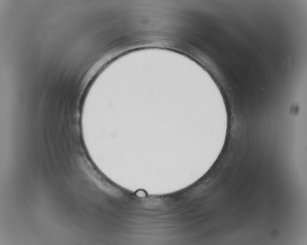 X0000112841332200910021058