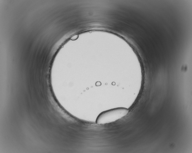 X0000112841333200910021058