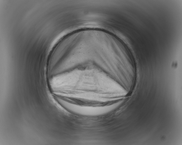 X0000112841334200910021058