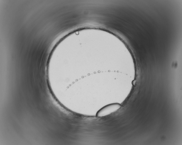 X0000112841335200910021058