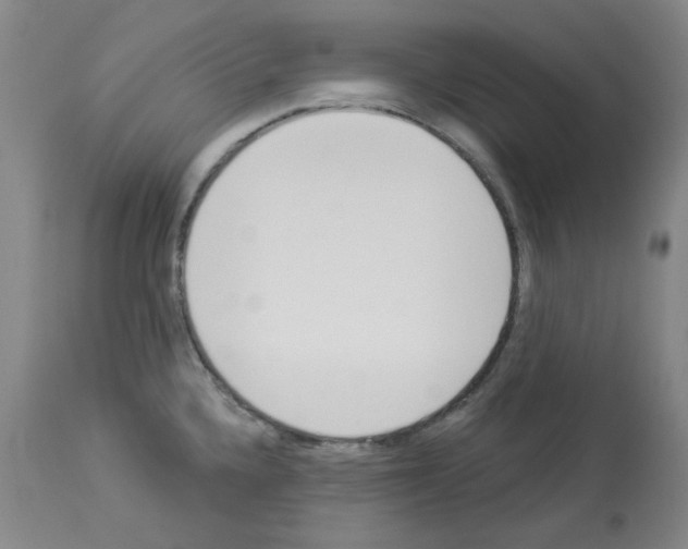 X0000112841336200910021058