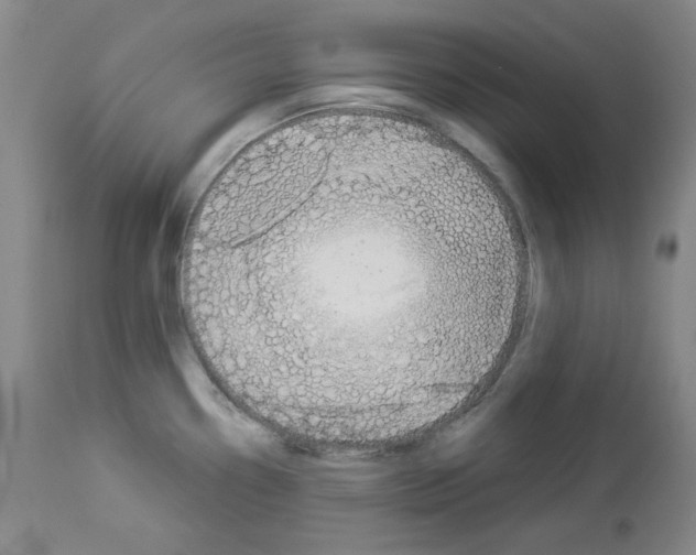 X0000112841338200910021058