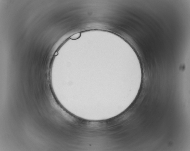 X0000112841339200910021058