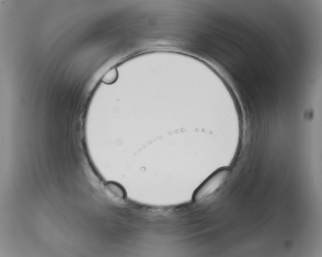 X0000112841341200910021058