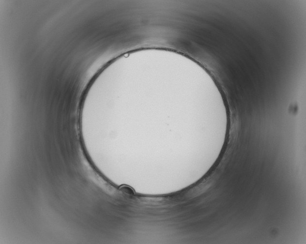 X0000112841342200910021058