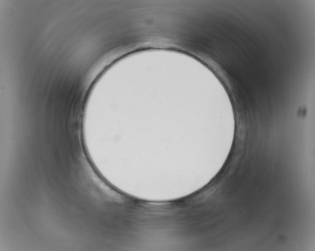 X0000112841343200910021058