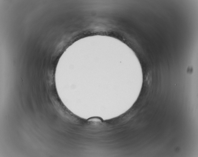 X0000112841348200910021057