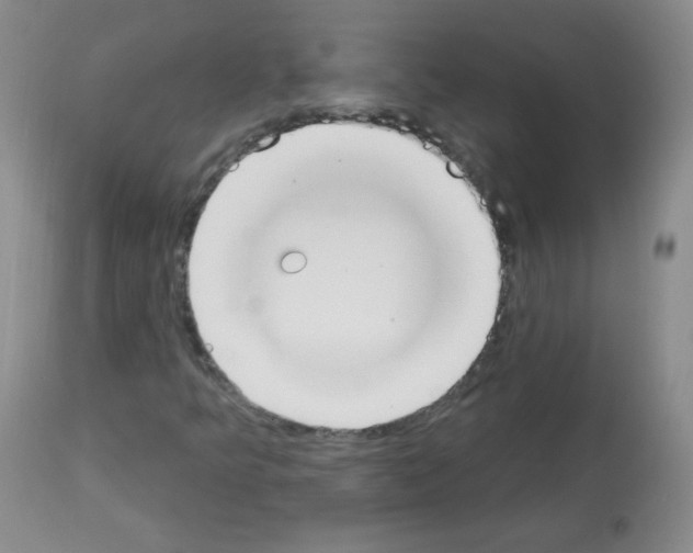 X0000112841349200910021057