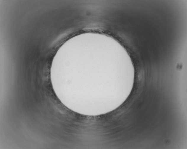 X0000112841350200910021057