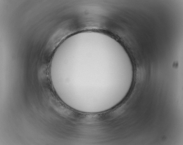 X0000112841353200910021057