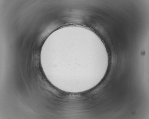 X0000112841354200910021057