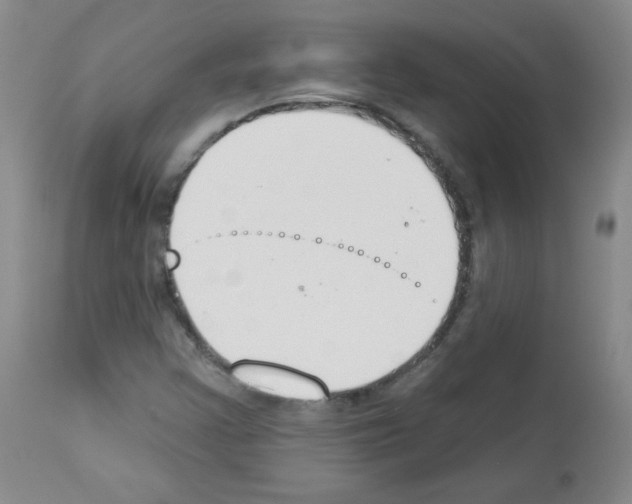 X0000112841355200910021057