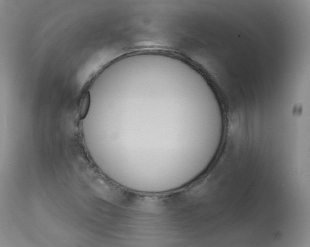 X0000112841357200910021057