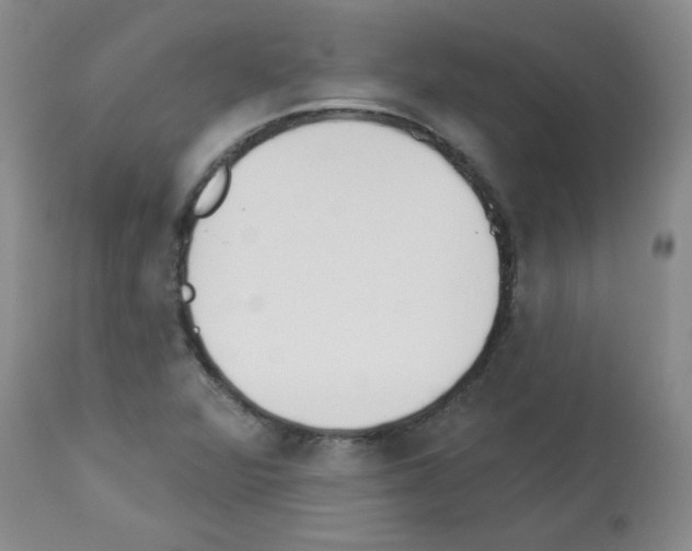 X0000112841360200910021057