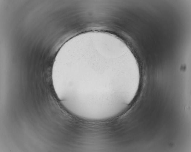 X0000112841361200910021057