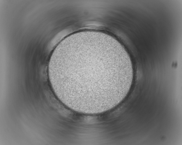 X0000112841362200910021057