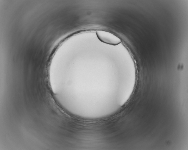 X0000112841364200910021057